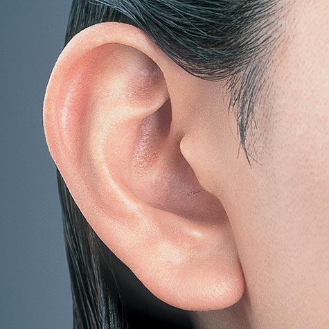 nd-c7nr_w_right_ear.jpgの製品画像